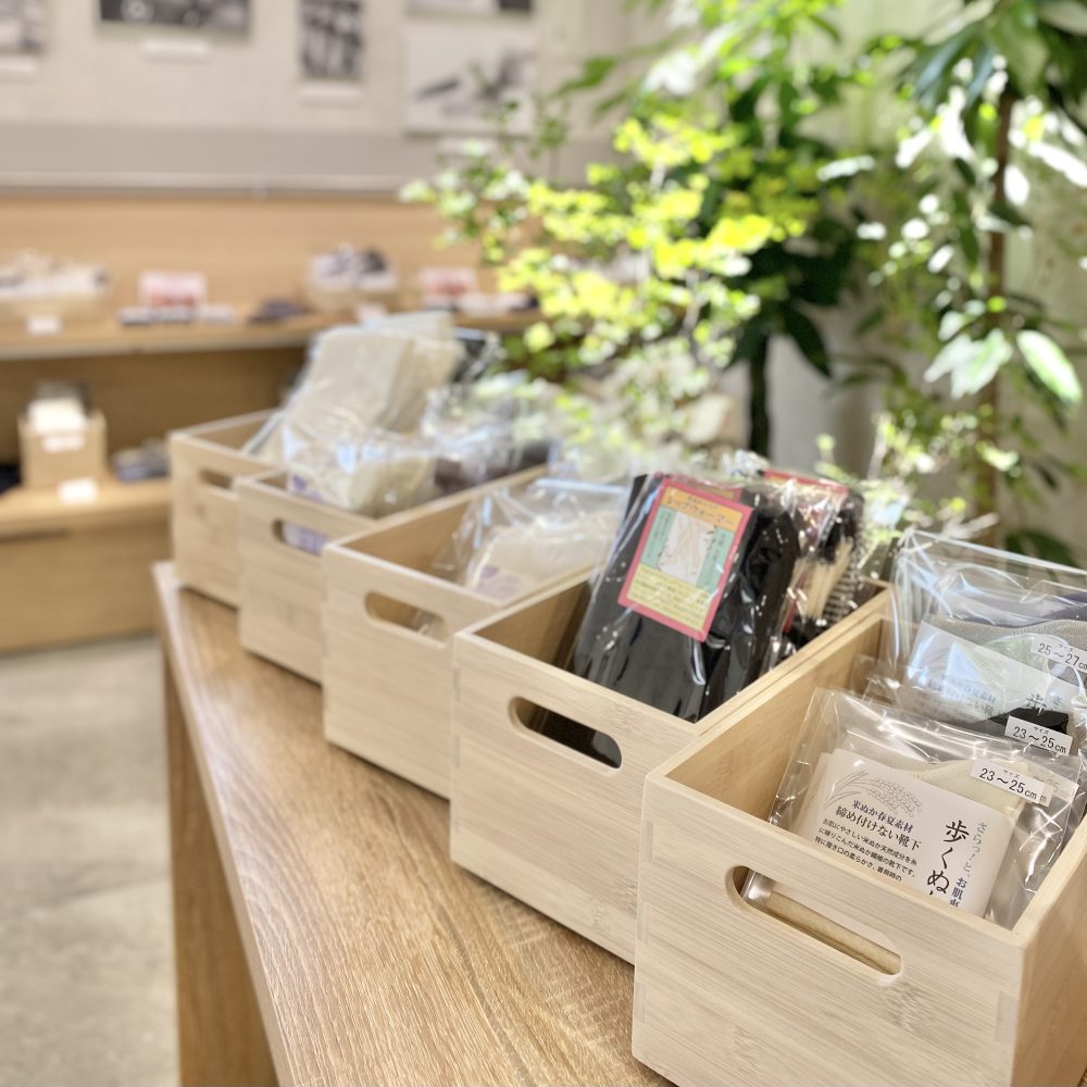 8月のワンコイン商品✨