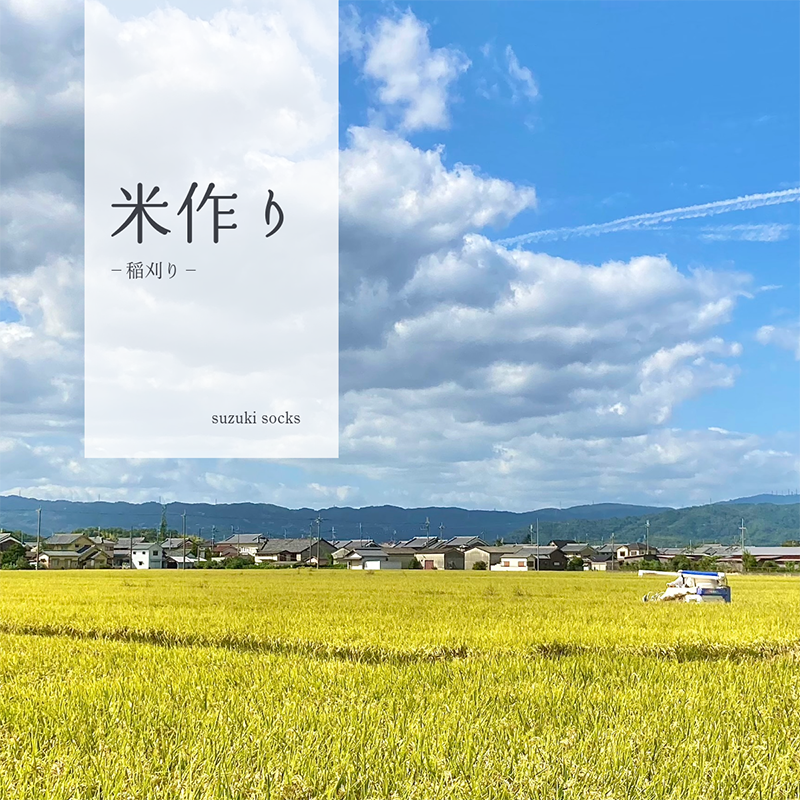 米作り – 稲刈り –