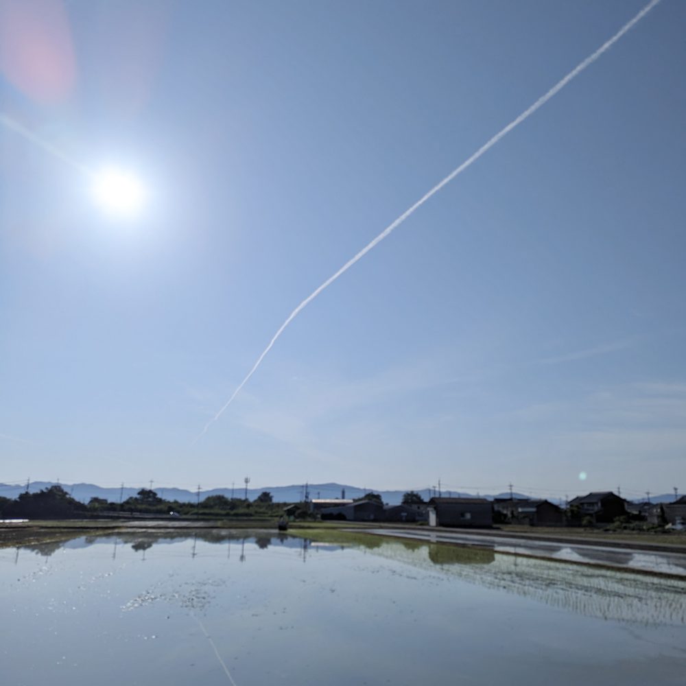 田植えが無事完了いたしました🌾