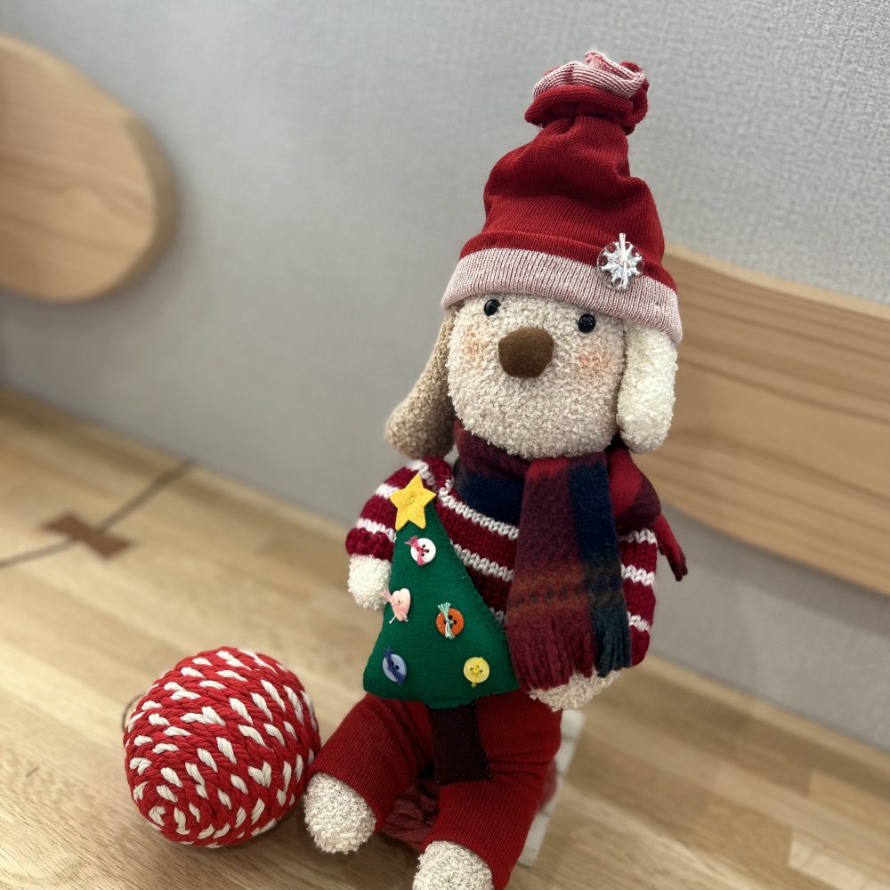 HAPPY CHRISTMAS🎄