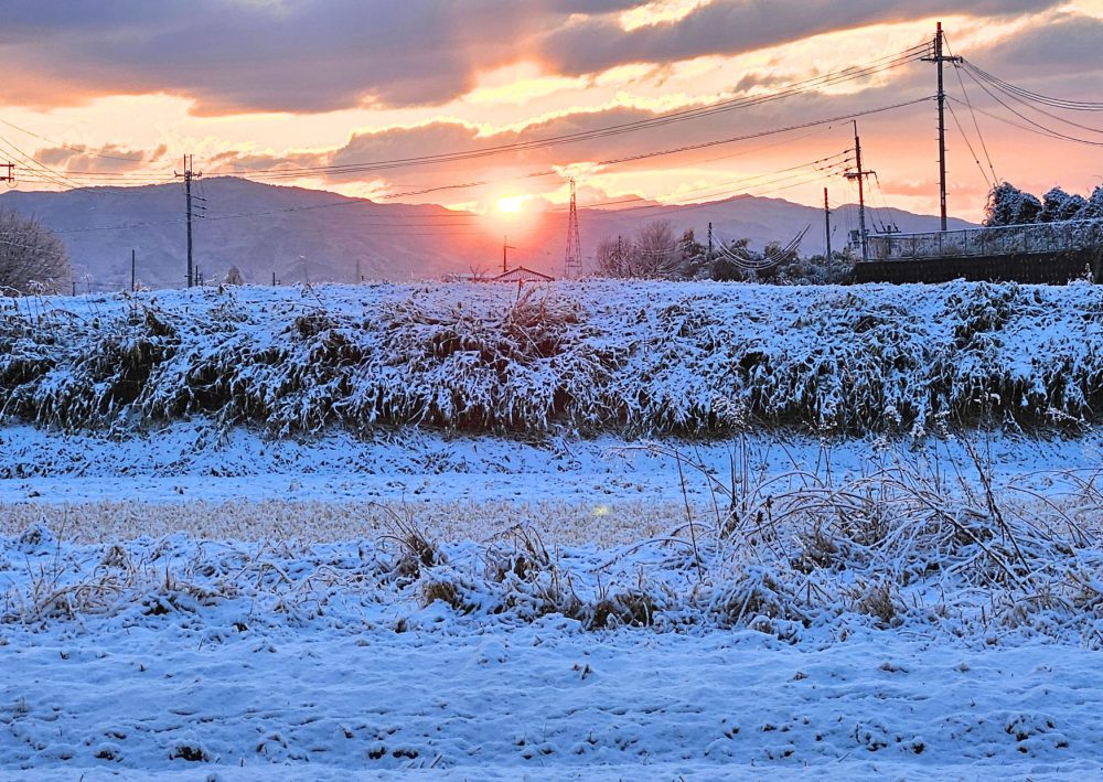 雪が降った、ちょっと特別な朝❄️