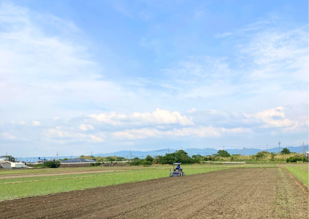 鈴木靴下のもう一つの物語　田んぼと、社長と、米ぬかと。