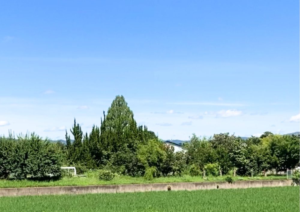 店舗OPEN2周年🌾三宅町のみなさまと。