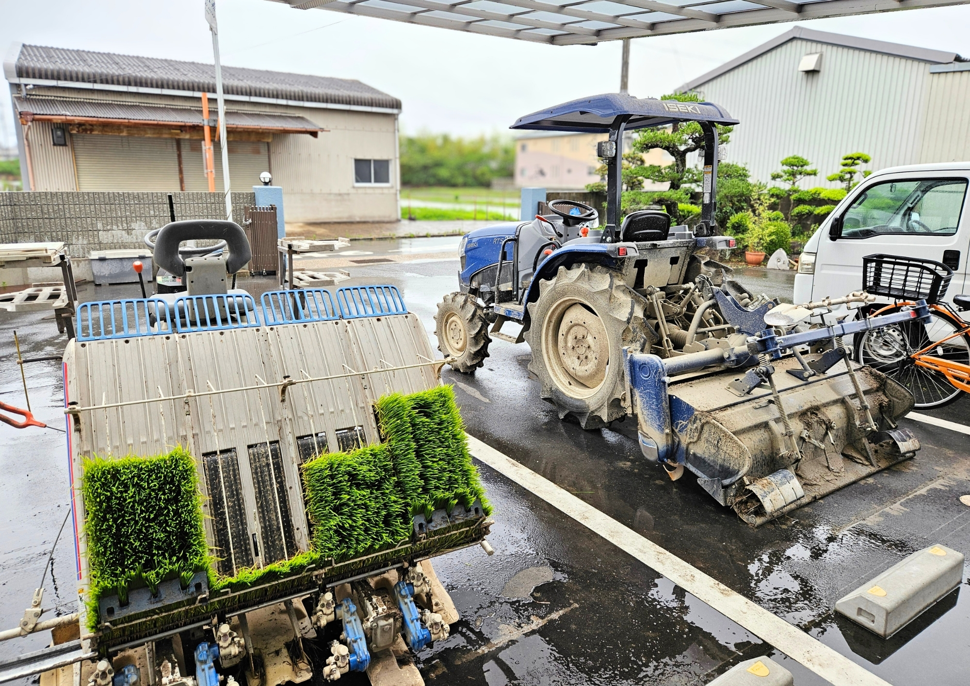 雨の早朝に、今年の田植えを終えて