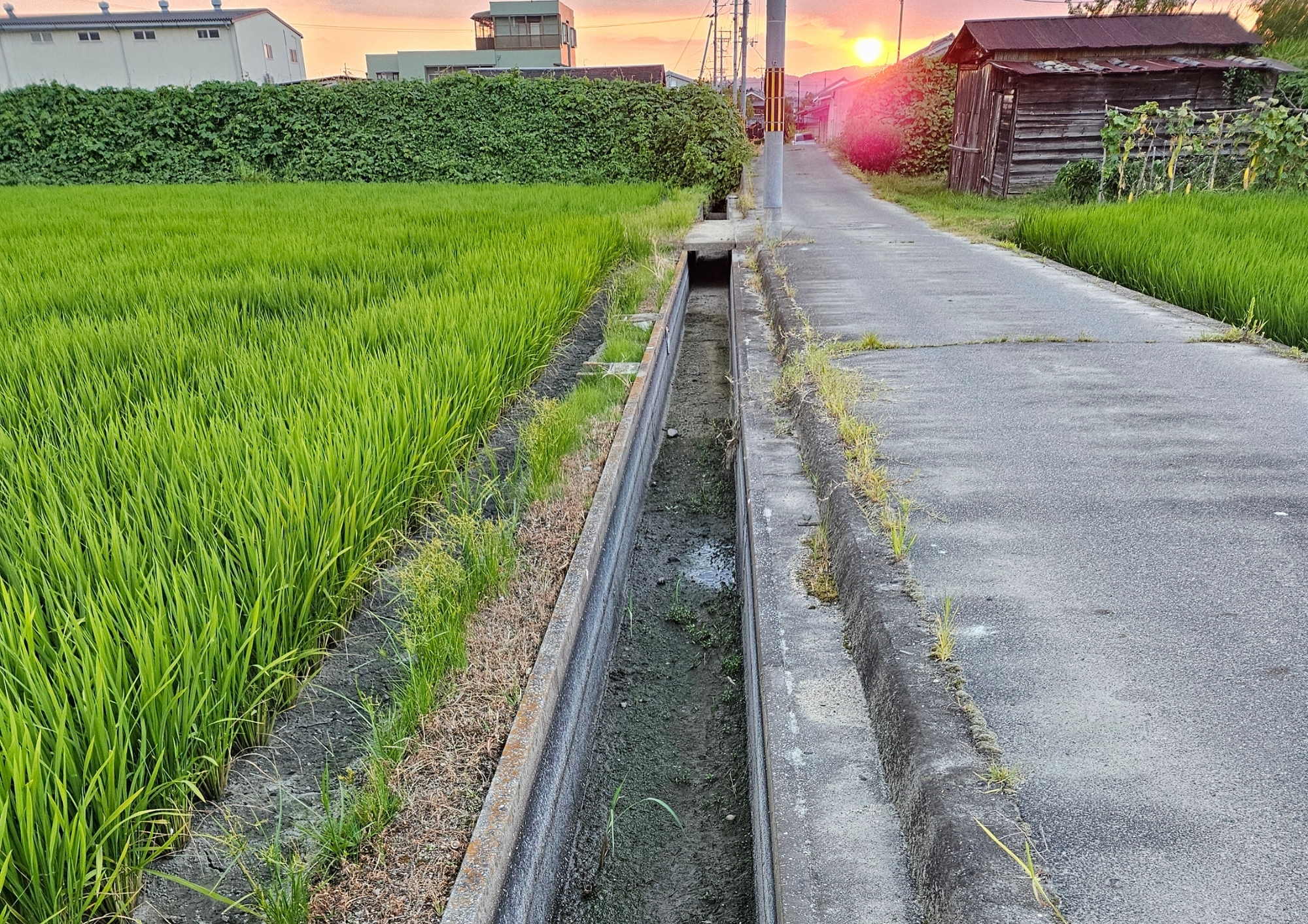 ある朝のお客様 ― 奈良・三宅町の靴下工場