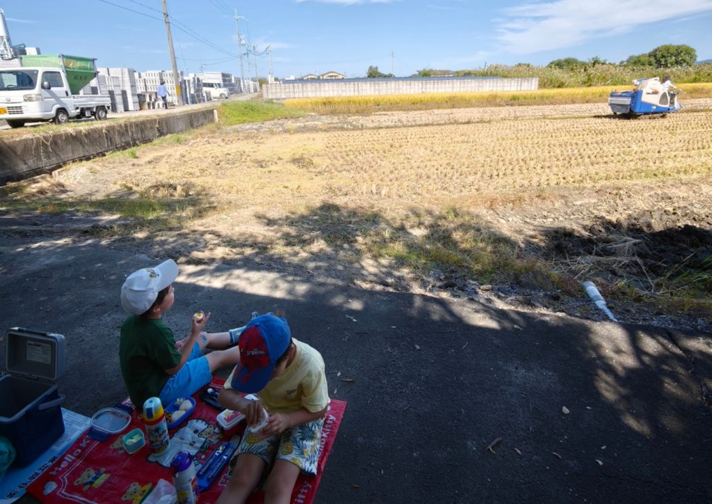 稲刈りをしている代表・鈴木和夫を見守りながら木陰でお弁当を食べる孫たち