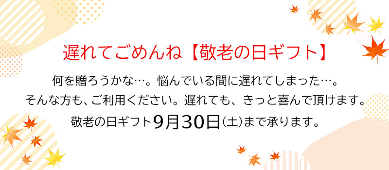 遅れてごめんね