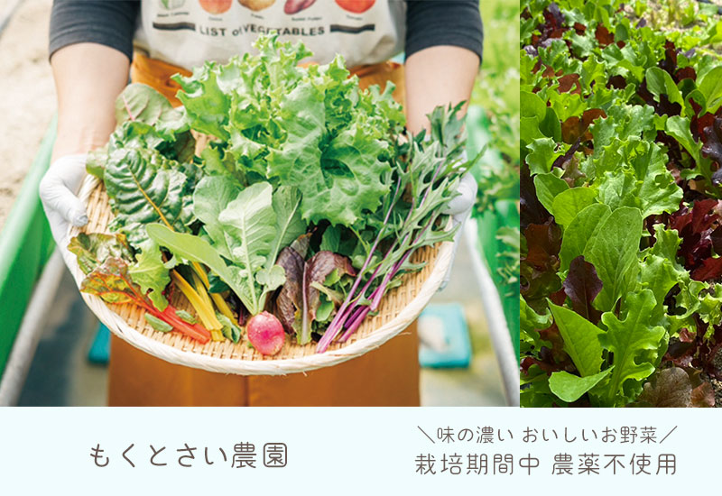 もくとさい菜園
